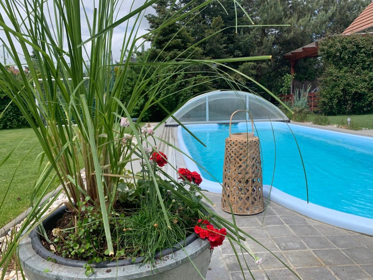 Pool & Lake Holiday Home Markkleeberg Zewnętrze zdjęcie