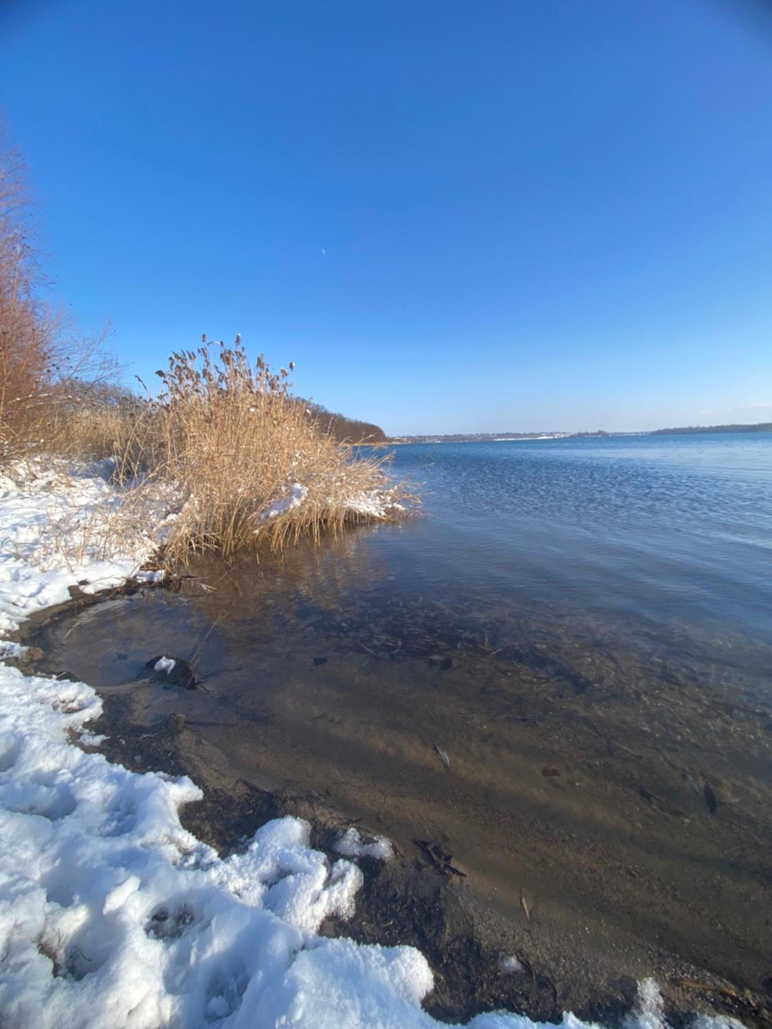 Pool & Lake Holiday Home Markkleeberg Zewnętrze zdjęcie